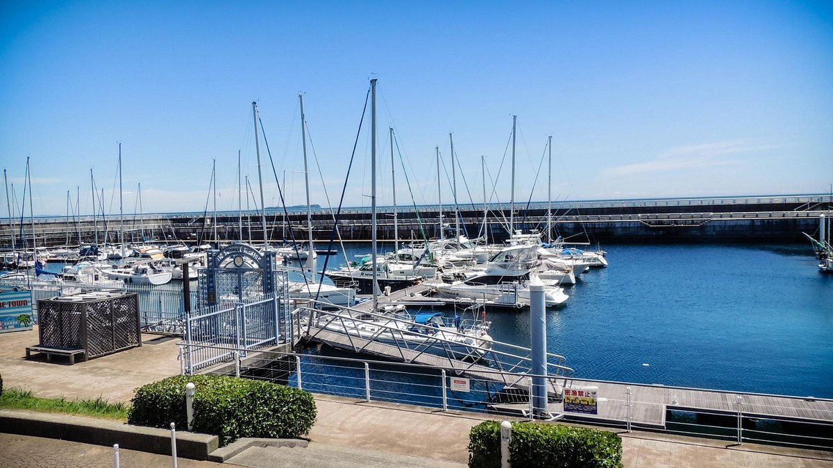 🌊 미치노에키 이토 마린타운 이미지 10